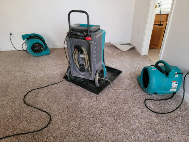 Best Mold removal after water damage  in Riverbend, WA