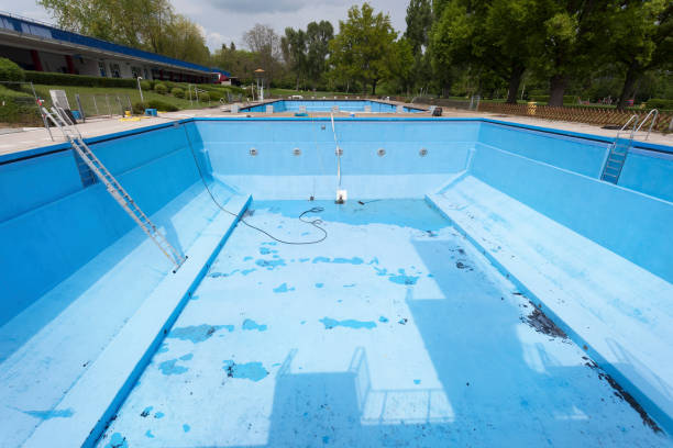 Best Basement water damage restoration  in Riverbend, WA