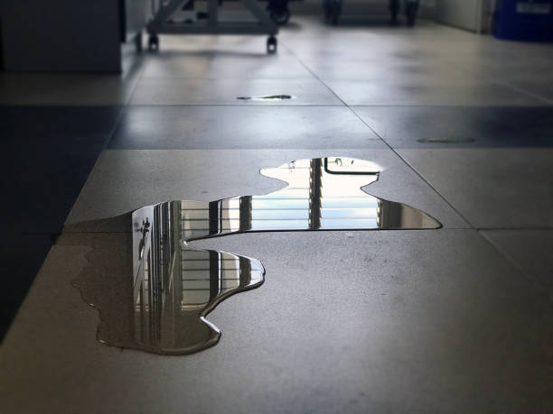 Best Emergency water damage restoration  in Riverbend, WA