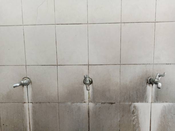 Best 24-hour water damage restoration  in Riverbend, WA
