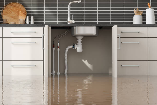 Best Water damage restoration insurance claims  in Riverbend, WA