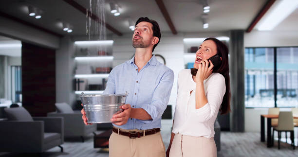 Best Water damage cleanup near me  in Riverbend, WA