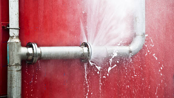 Best Water damage restoration mold remediation  in Riverbend, WA